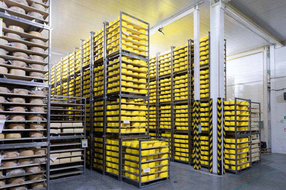 photo-cheese-factory-switzerland-typical-italian-cheese-parmigiano-reggiano-thousands-forms-parmigiano-reggiano-largest-parmesan-cheese-storage-forms-cheese-ripening